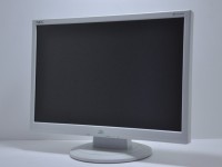NEC  19インチワイドモニター　非光沢パネル　DVI